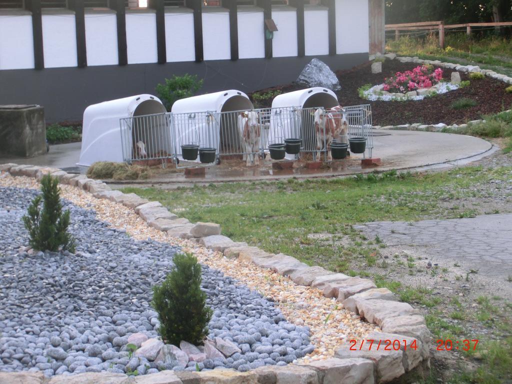 Bio Ferienhof Heiler Feldkirchen-Westerham Luaran gambar