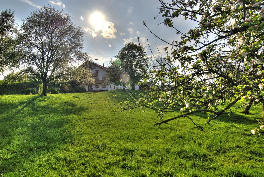 Bio Ferienhof Heiler Feldkirchen-Westerham Luaran gambar